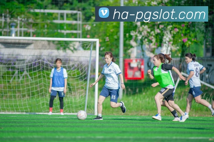 PG电子赏金女王官网APP 封面图